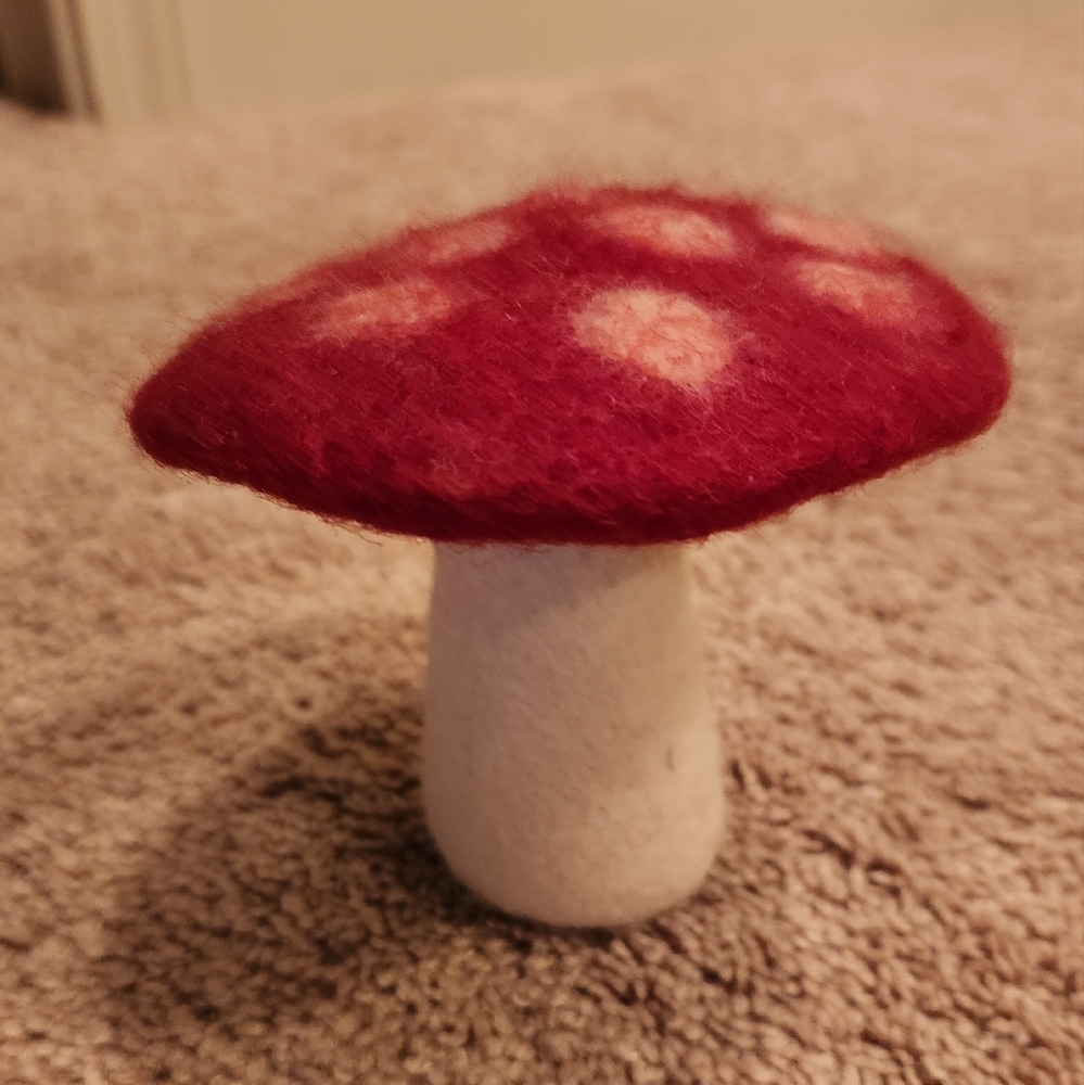 Felted Mushroom Decor